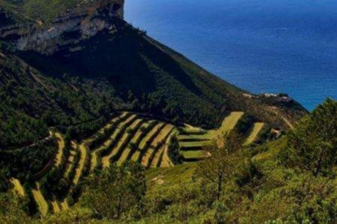Calypso Daire Cassis Dış mekan fotoğraf